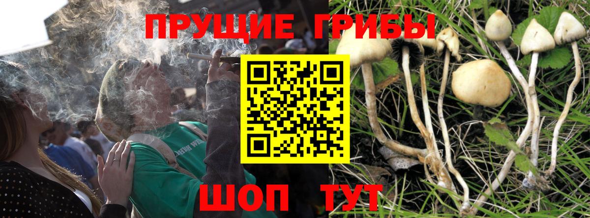 Псилоцибиновые грибы ЛСД Долгопрудный