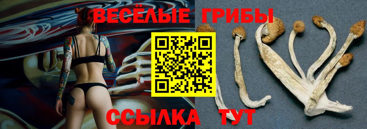 Долгопрудный  Псилоцибиновые грибы мухоморы  Вход с VPN 