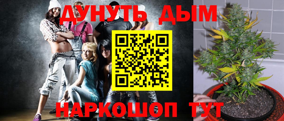 Каннабис OG Kush Долгопрудный